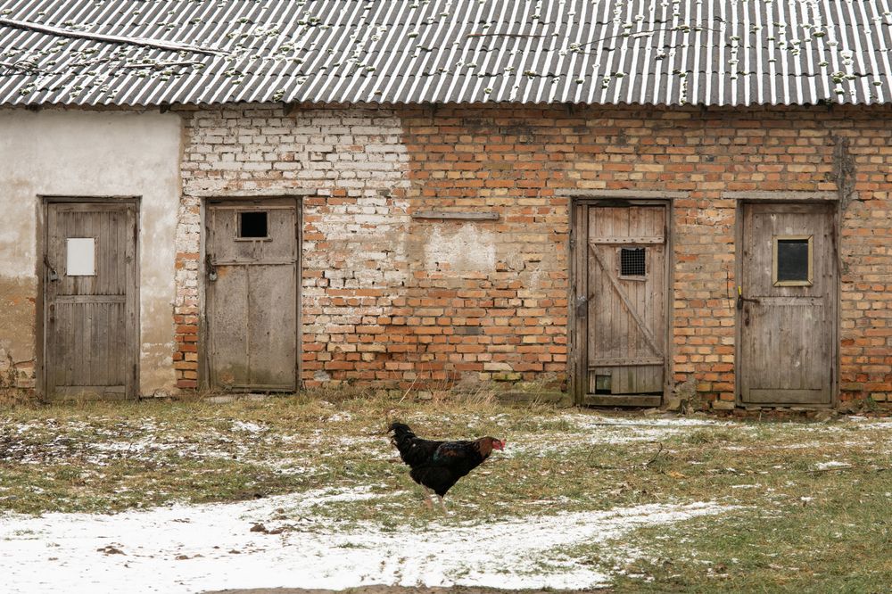 Photograph by Алена