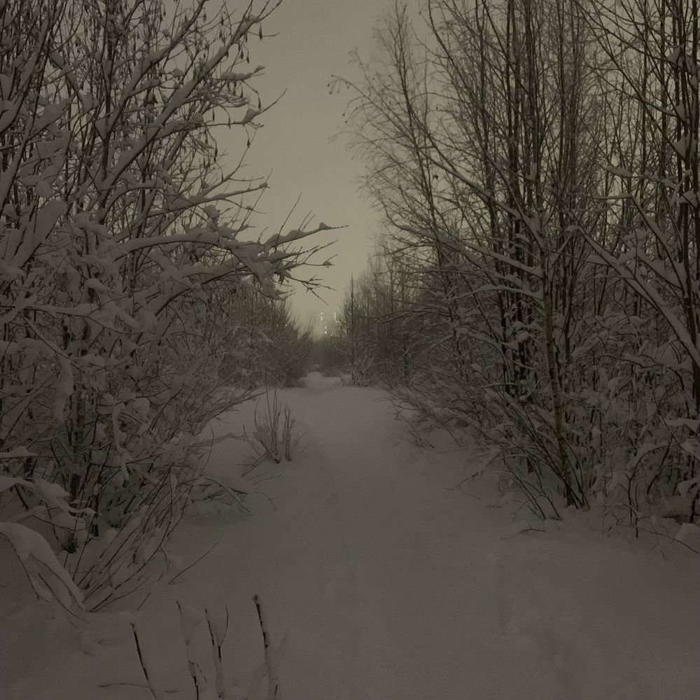 Фотография автора Василий Здоровецкий