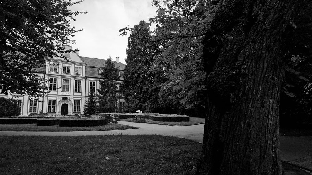 Фотография автора Katerina Yanovich