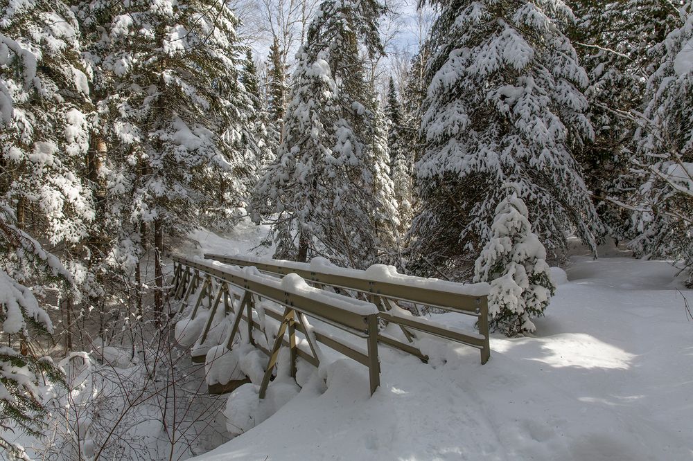 Photograph by Vladimir Vorobeychik