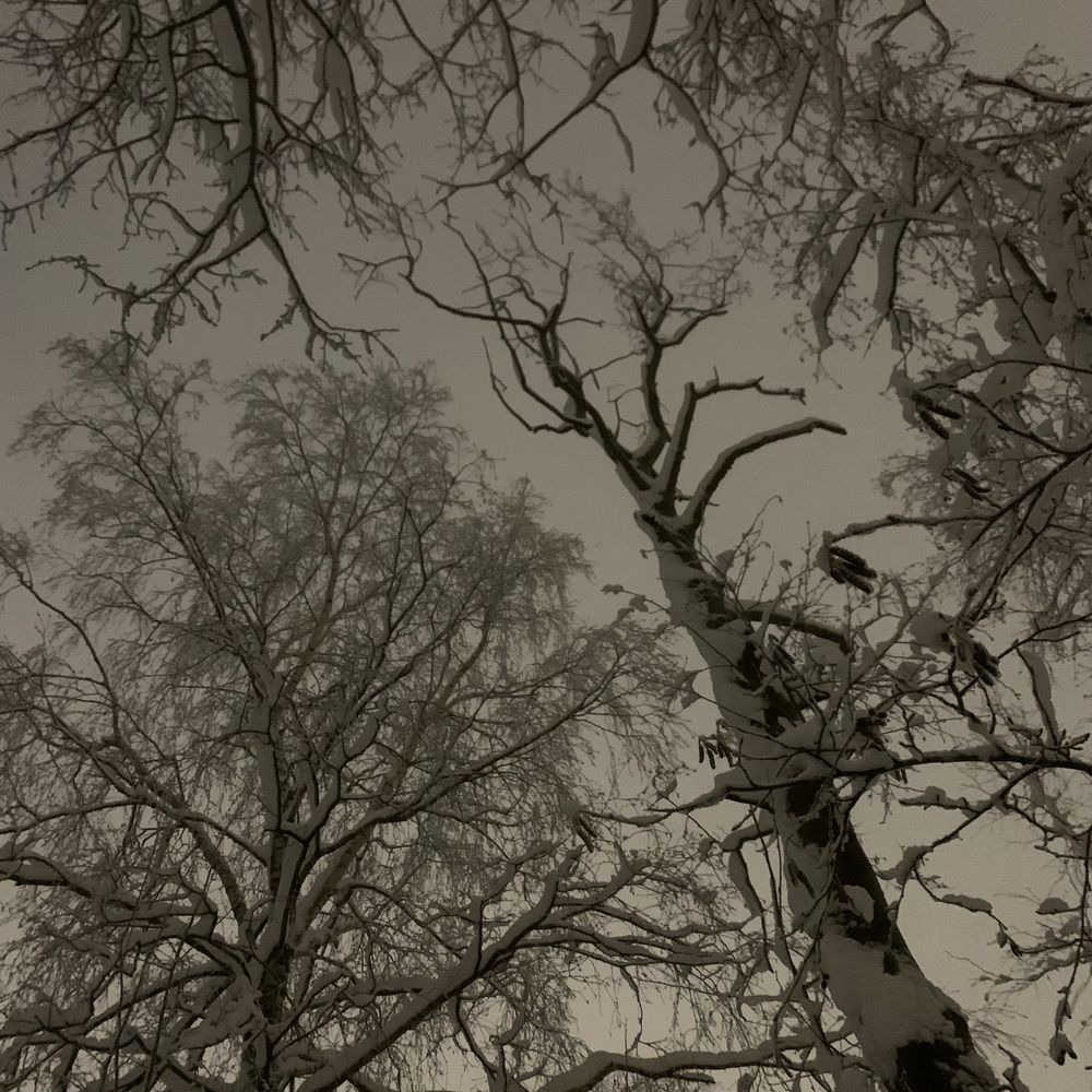 Фотография автора Василий Здоровецкий