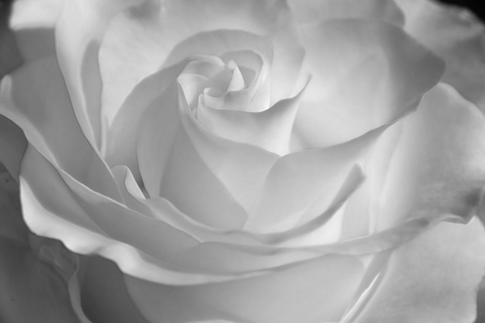 Фотография автора Юлия Кранина