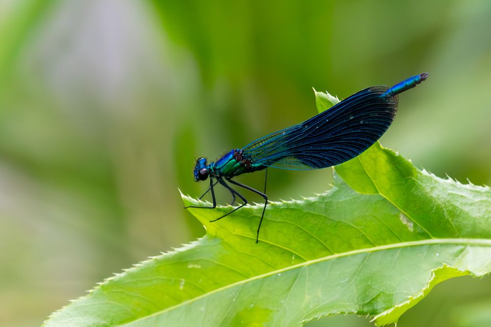 Photograph by Юлия Яковлева