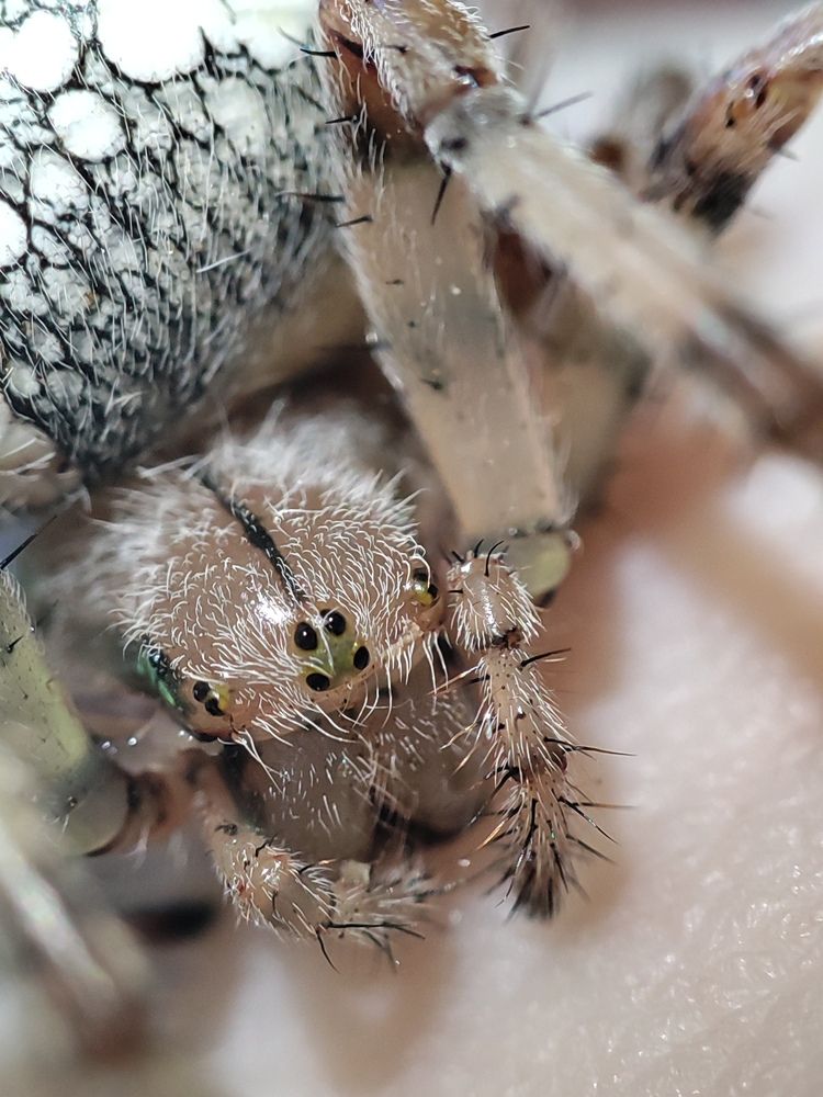 Photograph by Дмитрий Фетисов