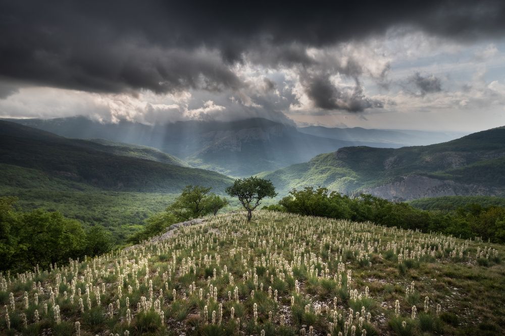 Photograph by Михаил Гапонов