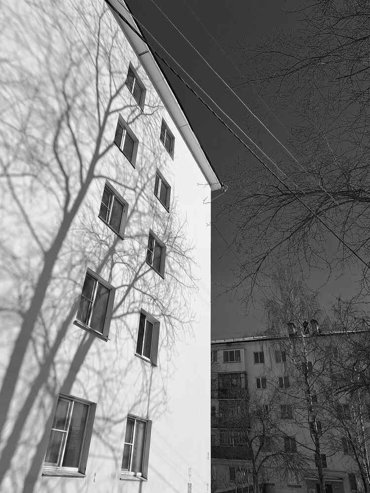 Photograph by Третьякова Наталья