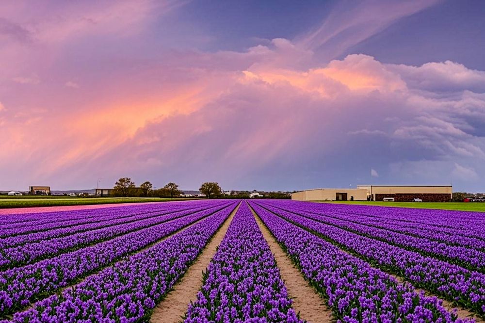 Фотография автора Jian Ma