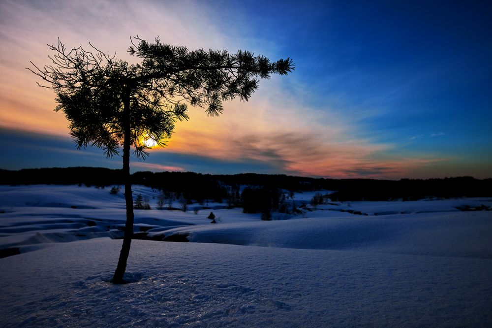 Photograph by  Павел