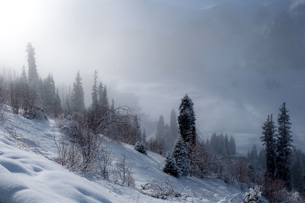 Photograph by Алексей Баженов