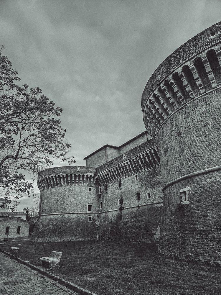 Photograph by Яна Чернега