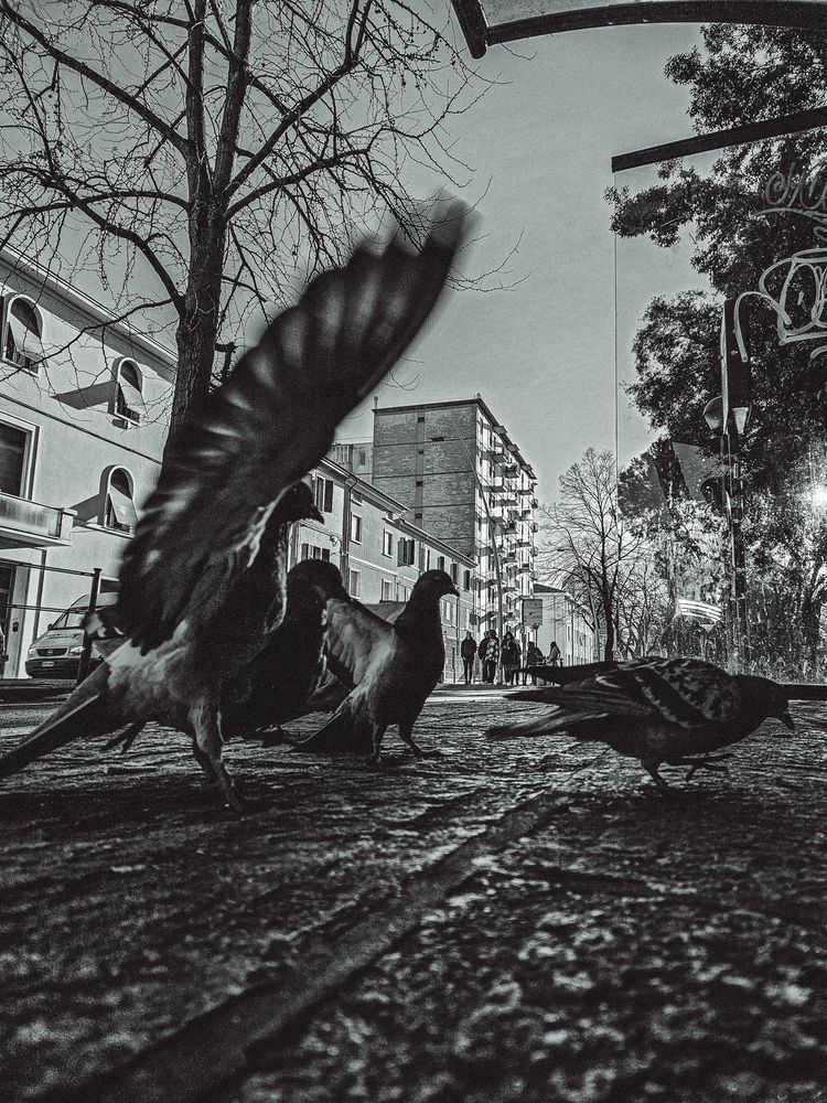 Photograph by Яна Чернега