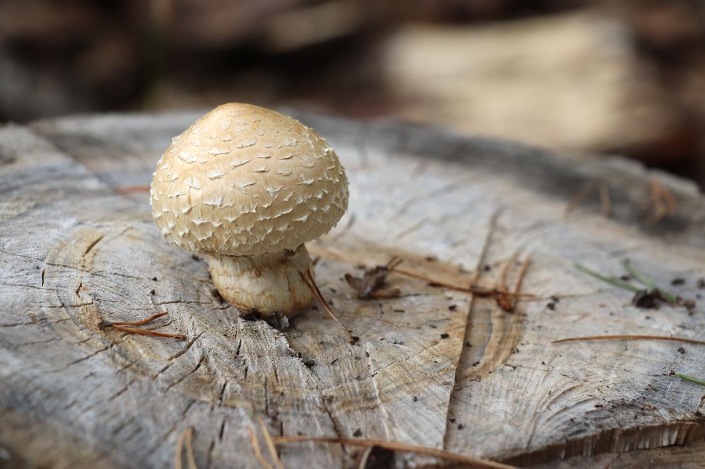 Photograph by Татьяна Елькина