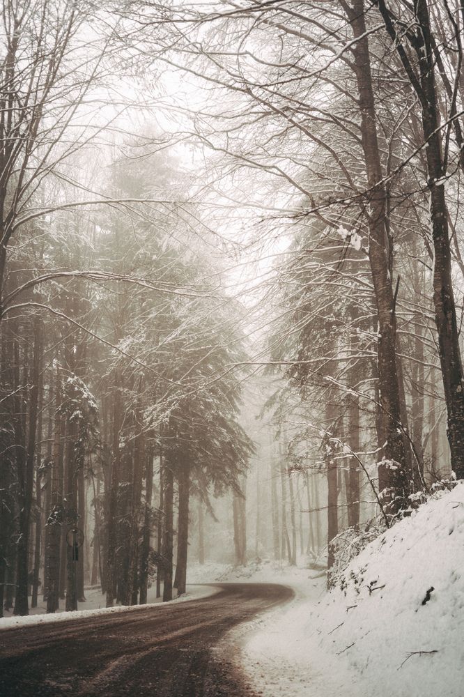 Photograph by Яна Чернега