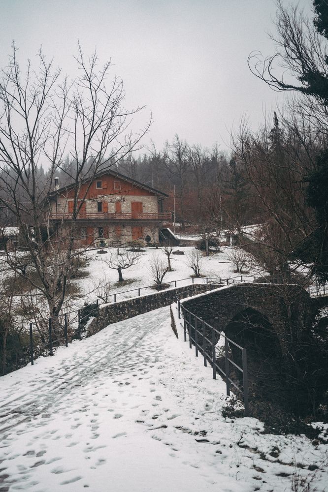 Photograph by Яна Чернега