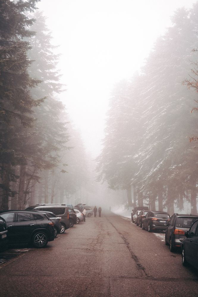 Photograph by Яна Чернега