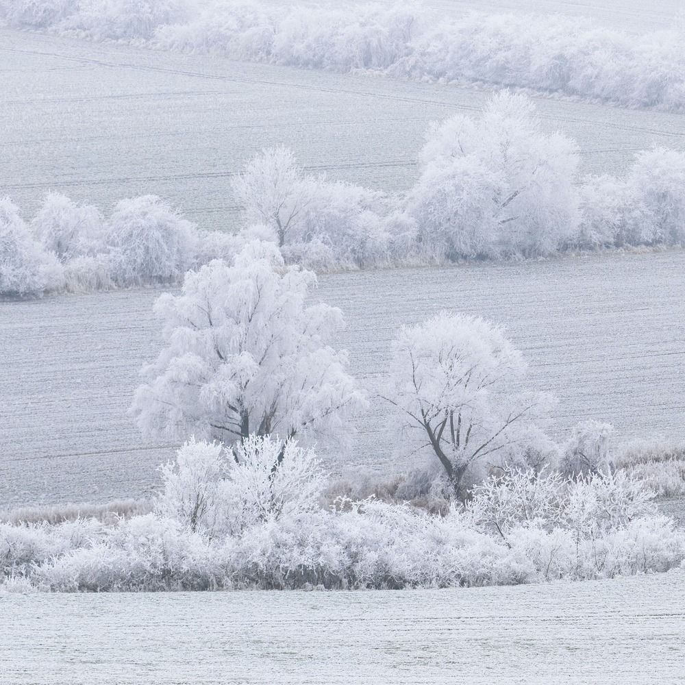 Photograph by Milan Chudoba