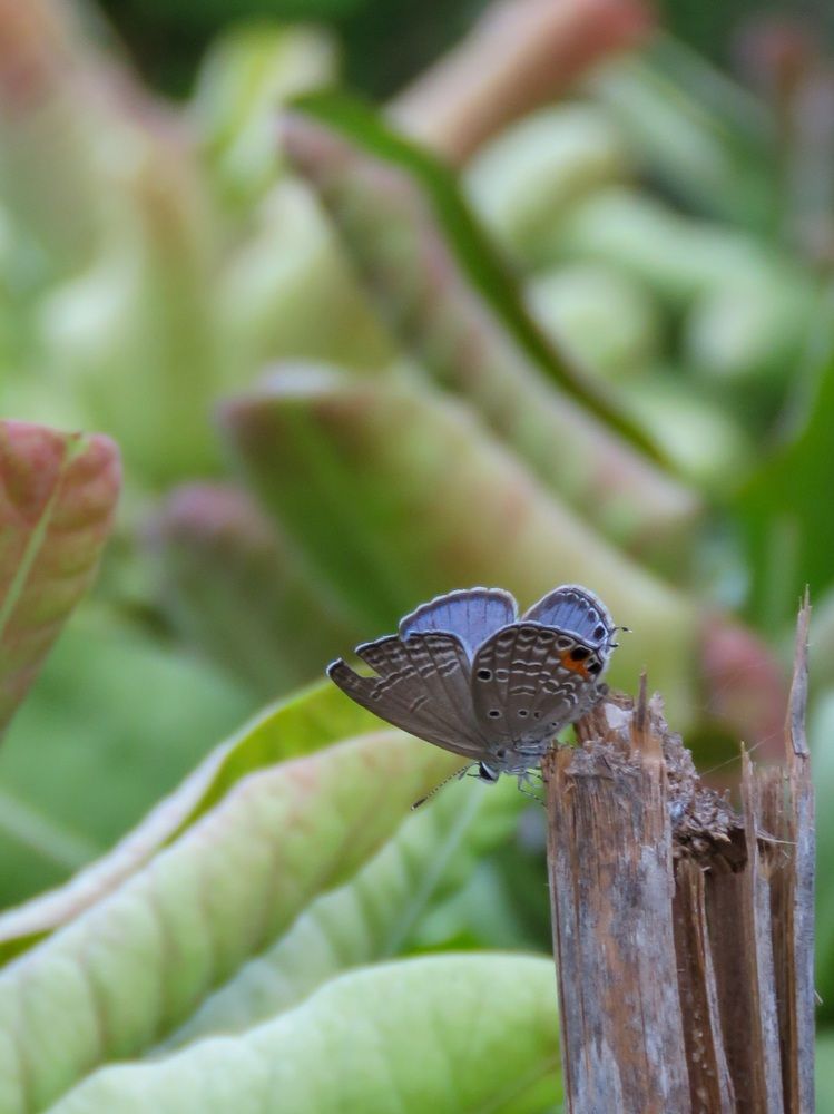 Фотография автора Adel elqamhawi Mohamed