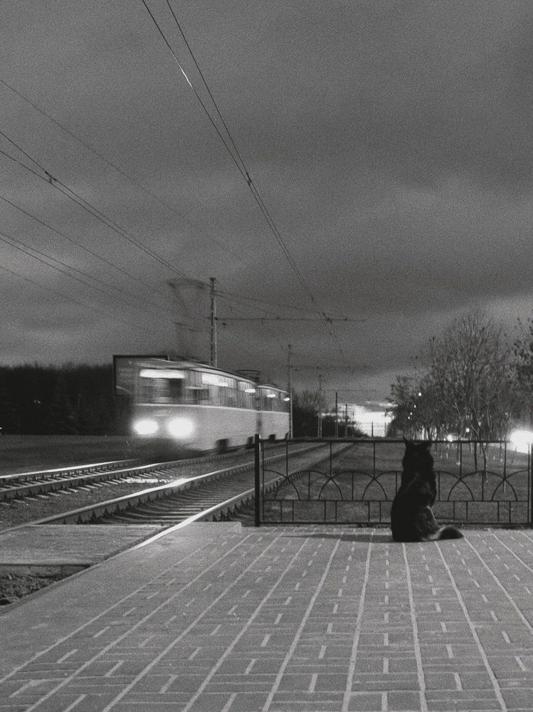 Photograph by Александра