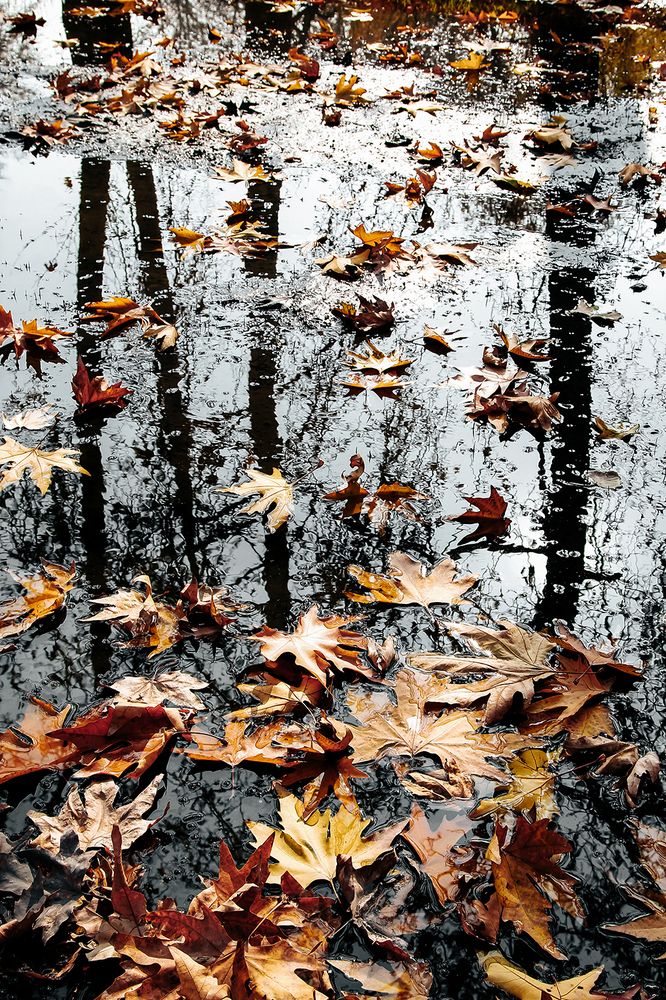 Photograph by Reyhane ajorloo