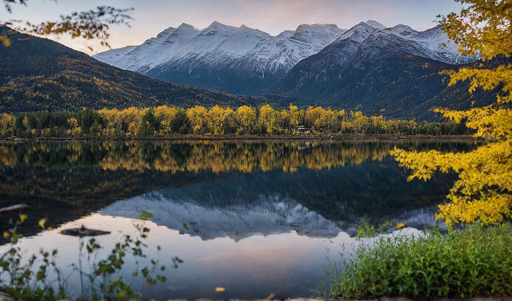 Фотография автора Александр Довганюк