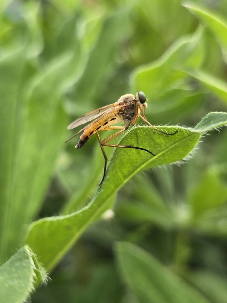 Photograph by Оксана Бессчетнова