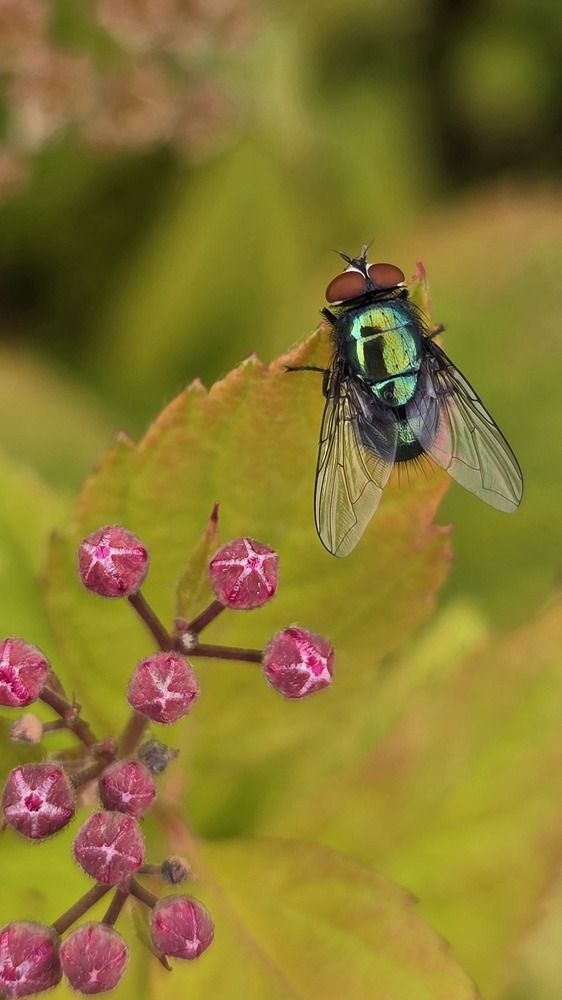 Photograph by Оксана Бессчетнова
