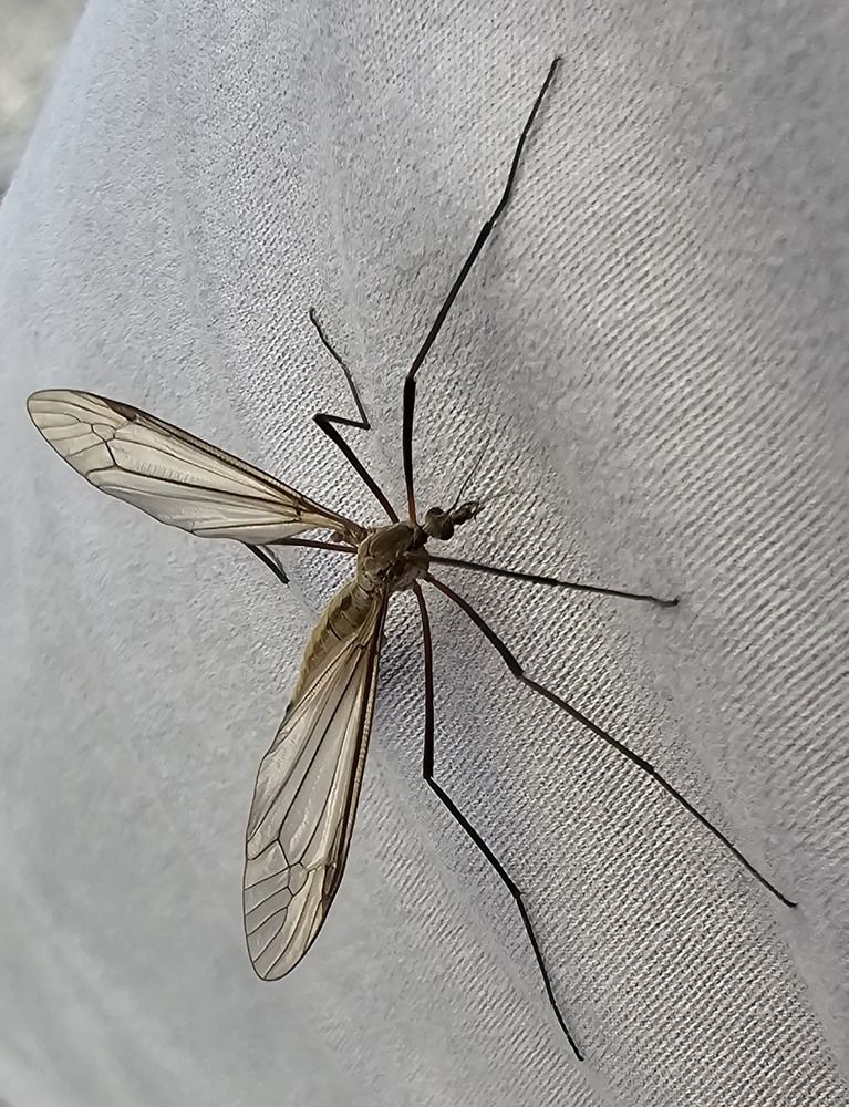 Photograph by Оксана Бессчетнова