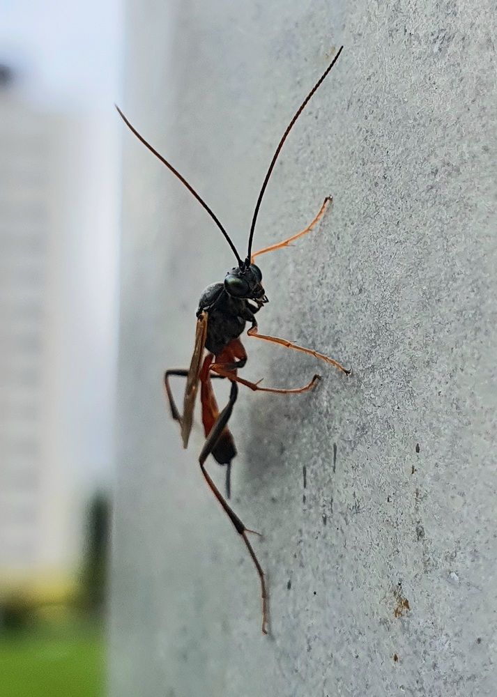 Photograph by Оксана Бессчетнова