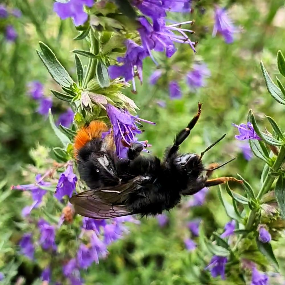 Photograph by Оксана Бессчетнова