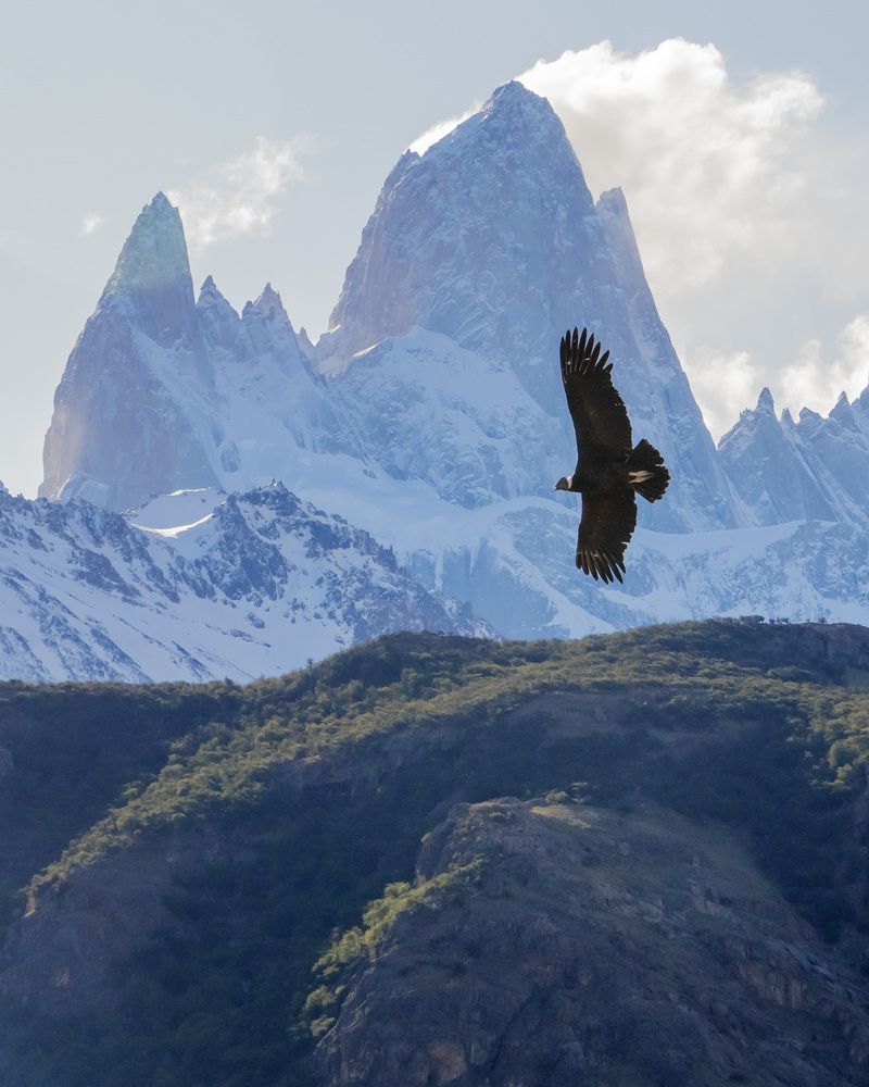 Photograph by Daniel Sosa