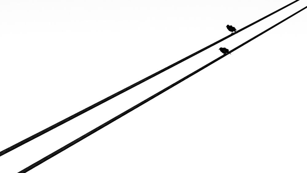 Фотография автора Nizam Nz