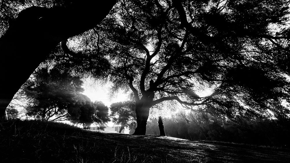 Фотография автора Nizam Nz