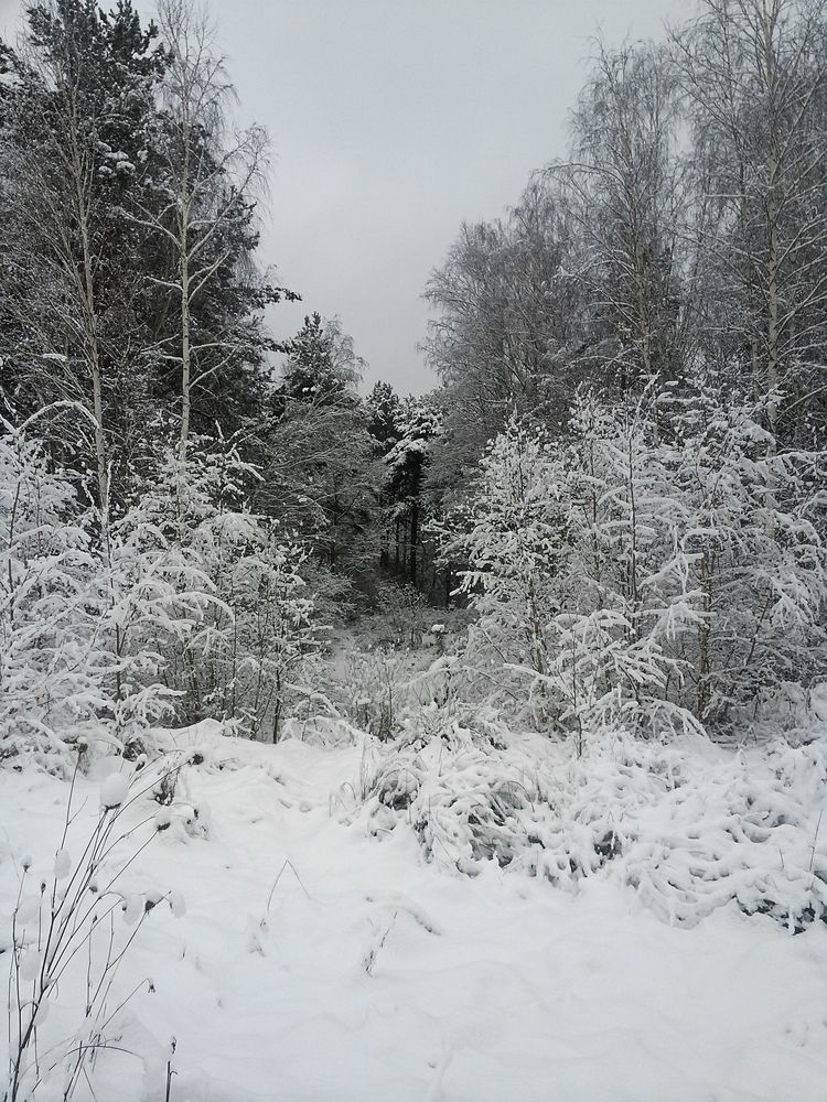 Фотография автора Ольга Панасюк