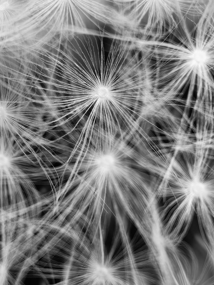 Фотография автора Ольга Панасюк