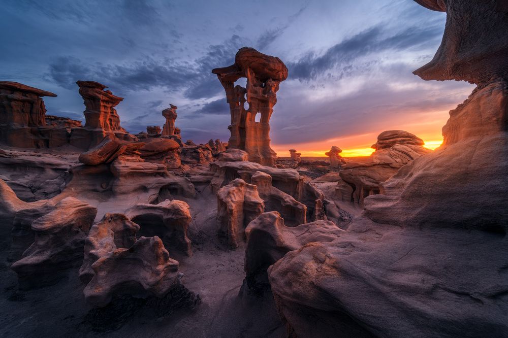 Photograph by Daniel Viñé Garcia