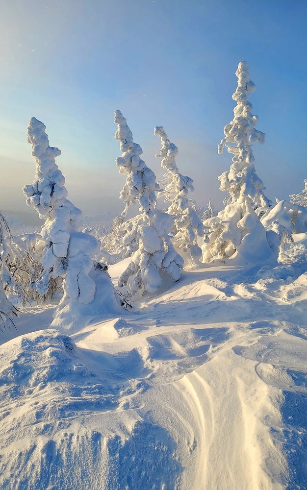 Фотография автора Светлана Зимина