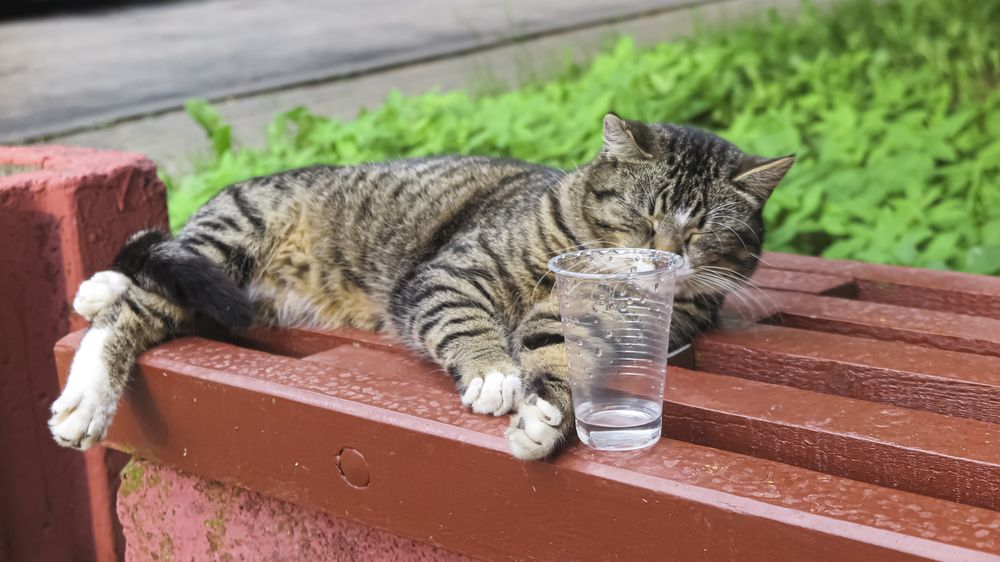 Photograph by Наталья Котько