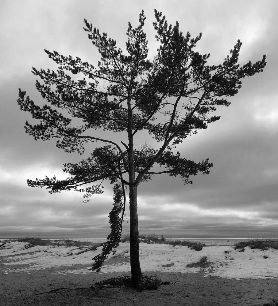 Photograph by Наталия Князева