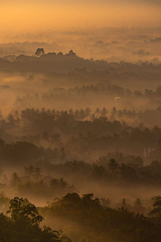 Фотография автора Светлана Зимина