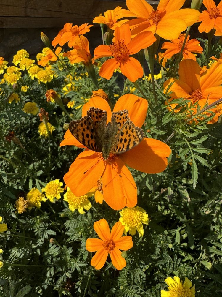 Photograph by Олеся Кузьмичева