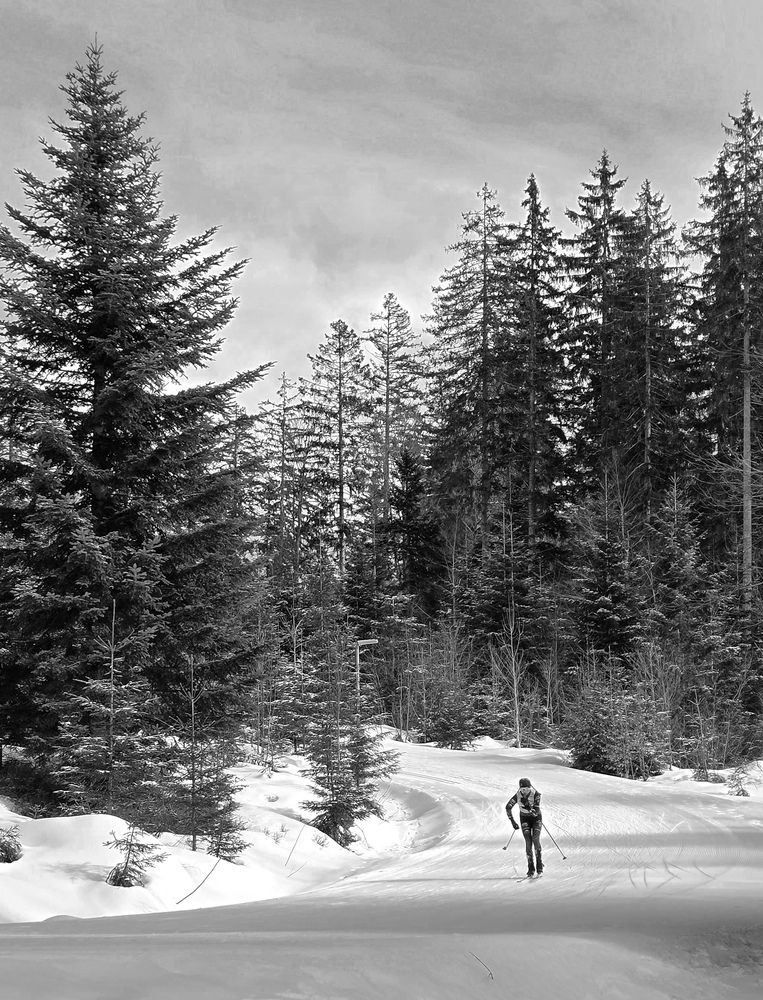 Photograph by Светлана