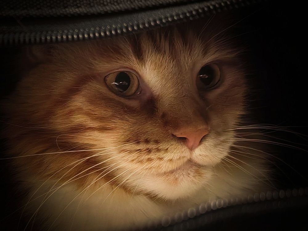 Photograph by Алексей Глухов