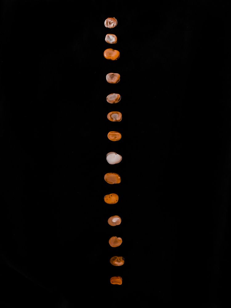 Фотография автора Youstina Rowes