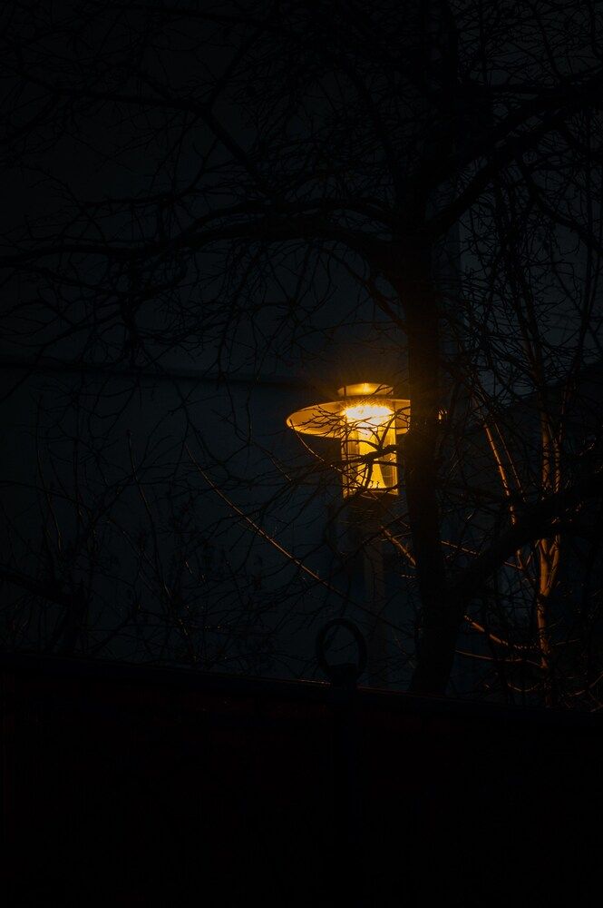 Photograph by Наталья Береговская