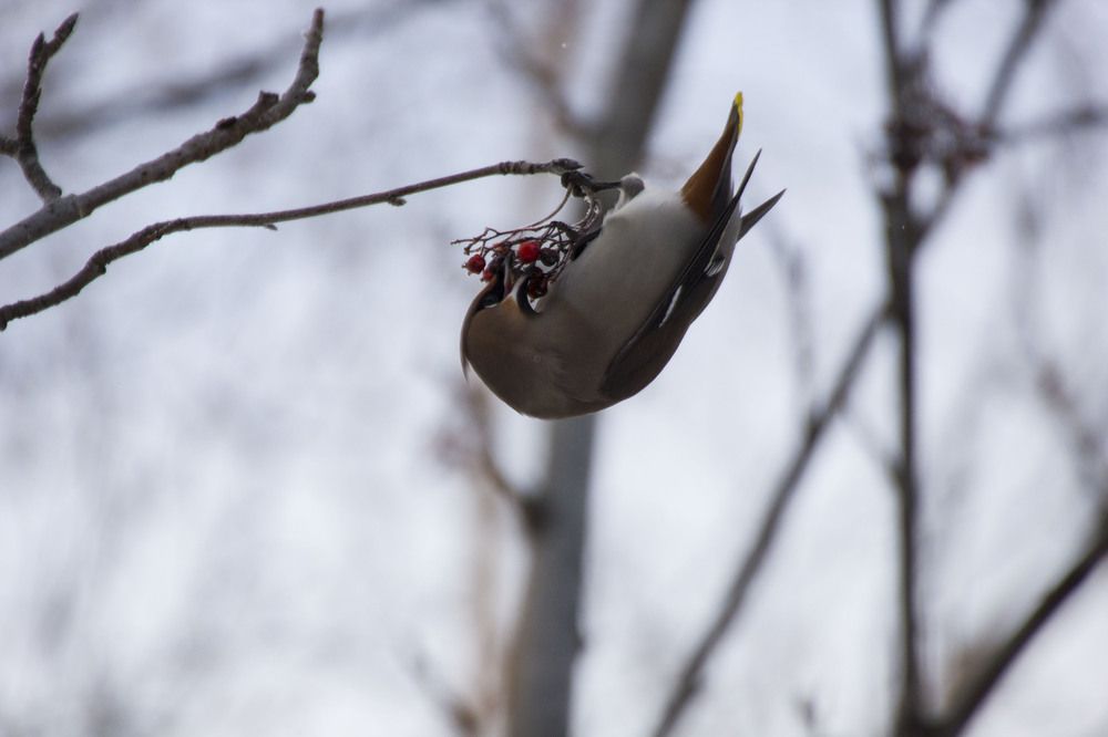 Photograph by Елена