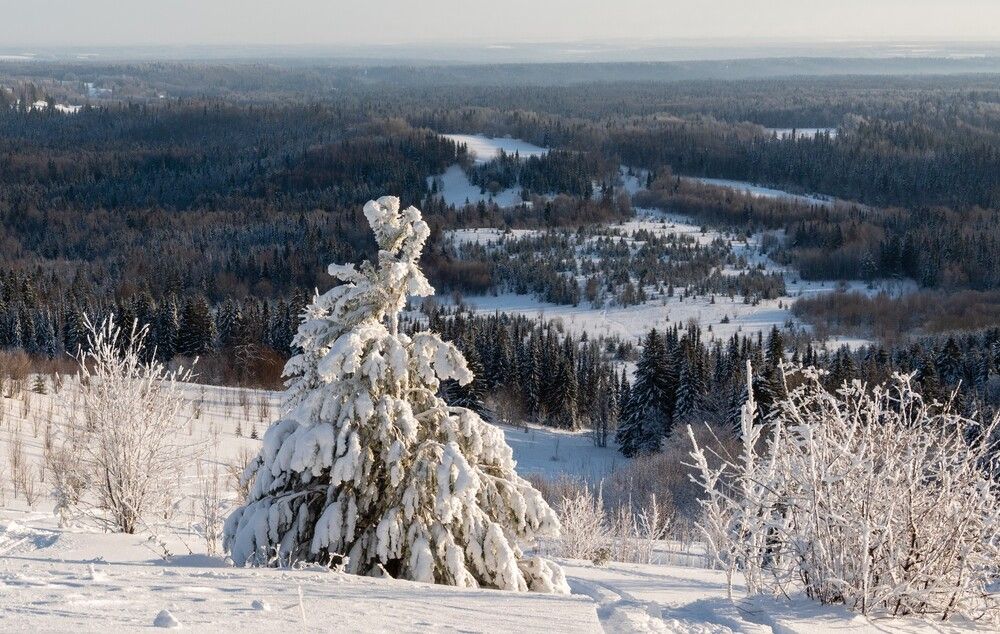 Photograph by Анна Стрелковская