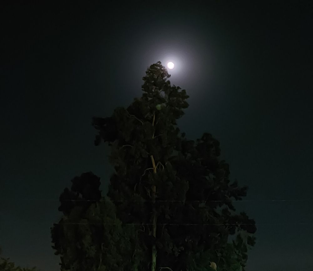 Фотография автора Youstina Rowes