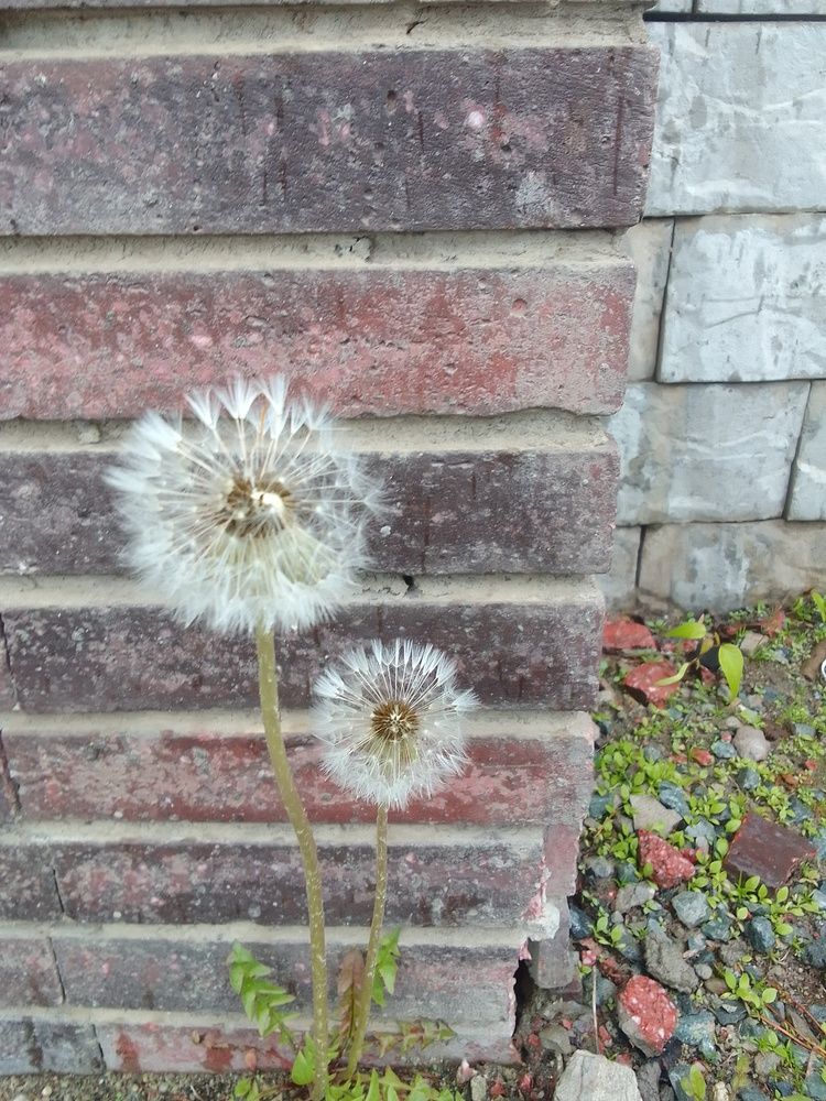 Photograph by Ирина