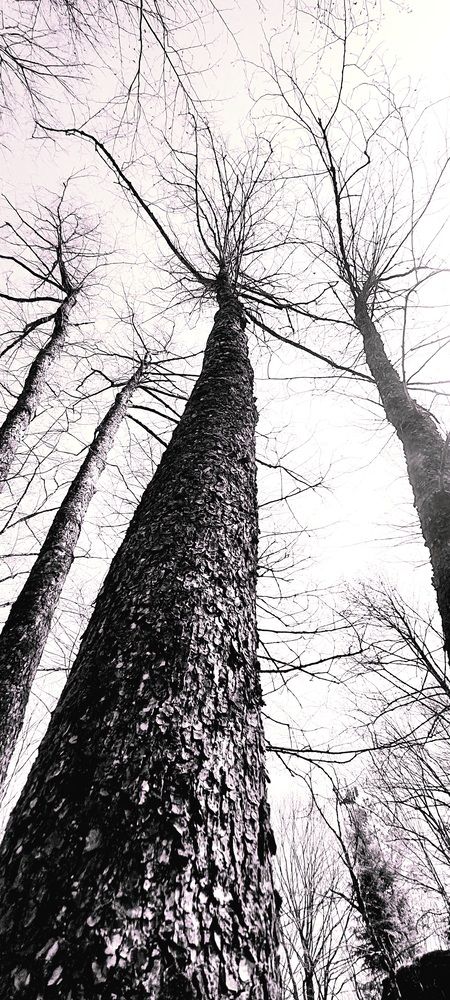 Photograph by Ольга Булавкина