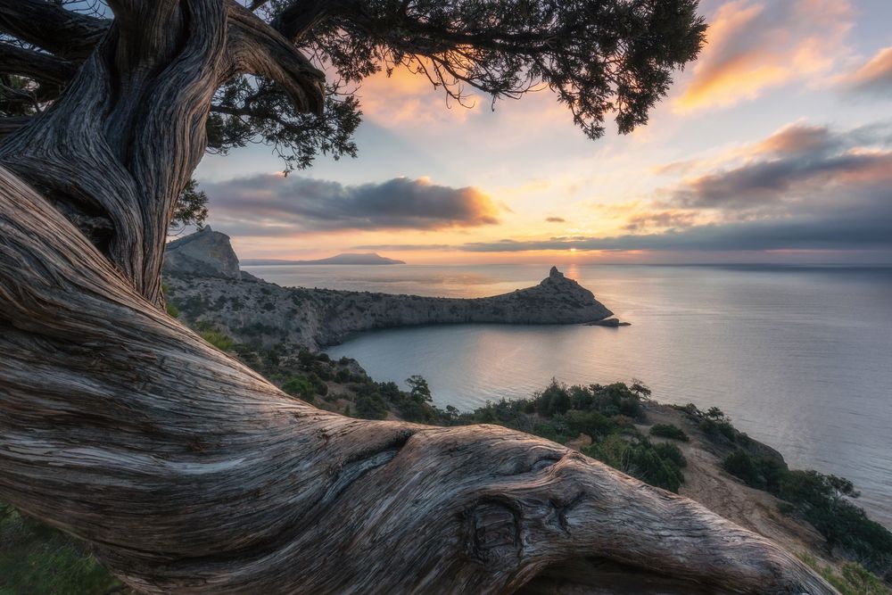 Фотография автора Дмитренко Екатерина